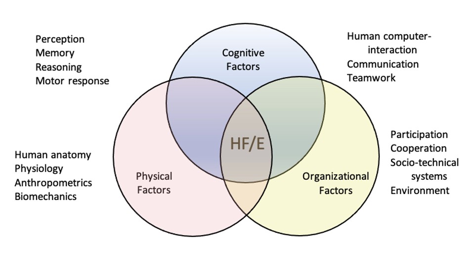 Ergonomics domains and human factors illustration